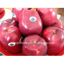 Huaniu Frischer China-Apfel (Manzana)